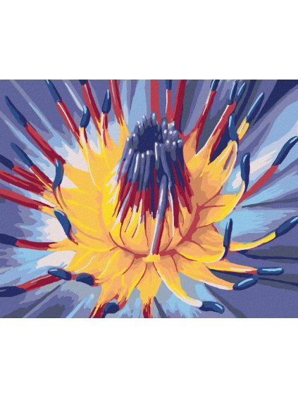 Diamantové maľovanie - OTVÁRAJÚCI SA KVET (Rámovanie bez rámu a bez vypnutia plátna, Rozmer 40x50 cm)