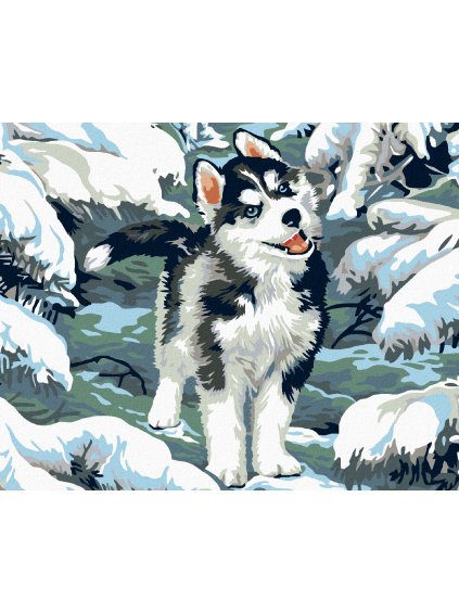 Diamantové maľovanie - MALÝ HUSKY (Rámovanie bez rámu a bez vypnutia plátna, Rozmer 40x50 cm)