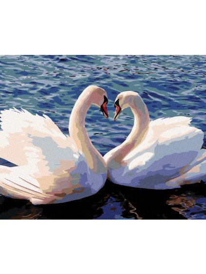 Diamantové maľovanie - LABUTE II (Rámovanie bez rámu a bez vypnutia plátna, Rozmer 40x50 cm)