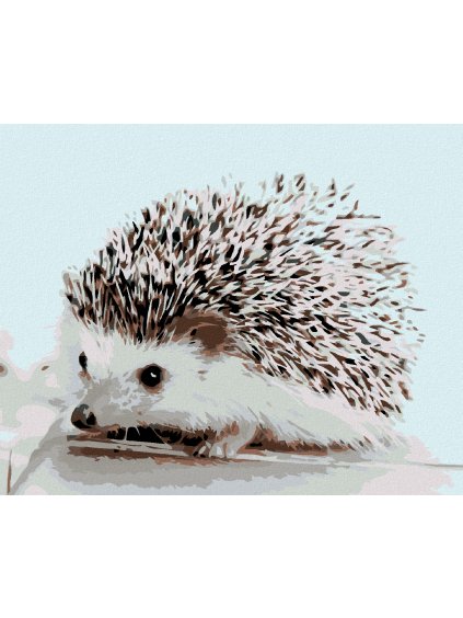 Diamantové maľovanie - JEŽKO (Rámovanie bez rámu a bez vypnutia plátna, Rozmer 40x50 cm)