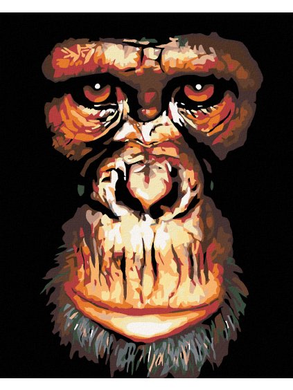 Diamantové maľovanie - ŠIMPANZ (Rámovanie bez rámu a bez vypnutia plátna, Rozmer 40x50 cm)