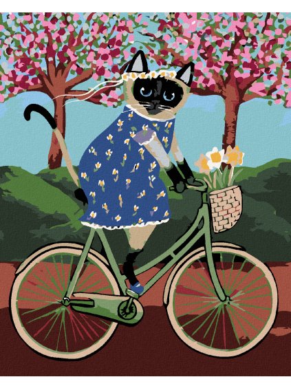 Diamantové maľovanie - MAČIČKA NA BICYKLI (Rámovanie bez rámu a bez vypnutia plátna, Rozmer 40x50 cm)