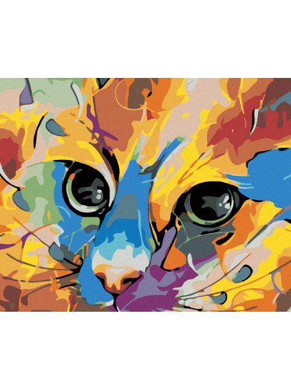 Diamantové maľovanie - MAČACÍ POHĽAD I. (Rámovanie bez rámu a bez vypnutia plátna, Rozmer 40x50 cm)
