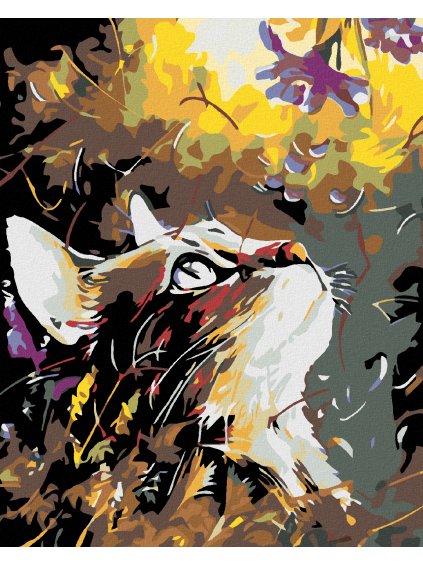 Diamantové maľovanie - MAČKA V LÚČNYCH KVETOCH (Rámovanie bez rámu a bez vypnutia plátna, Rozmer 40x50 cm)