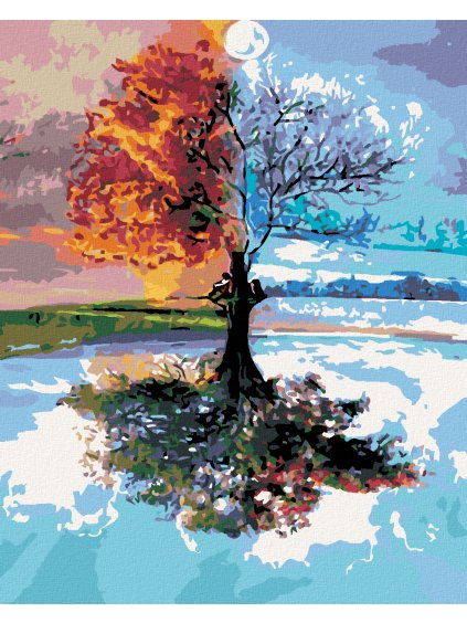 Diamantové maľovanie - ŠTYRI ROČNÉ OBDOBIA (Rámovanie bez rámu a bez vypnutia plátna, Rozmer 40x50 cm)