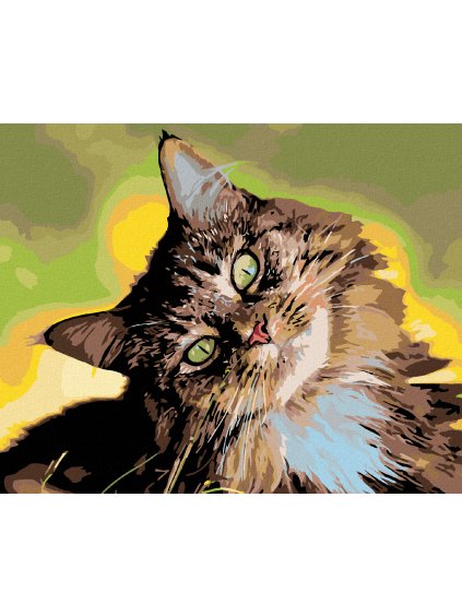 Diamantové maľovanie - PÁSKOVANÝ KOCÚRIK (Rámovanie bez rámu a bez vypnutia plátna, Rozmer 40x50 cm)