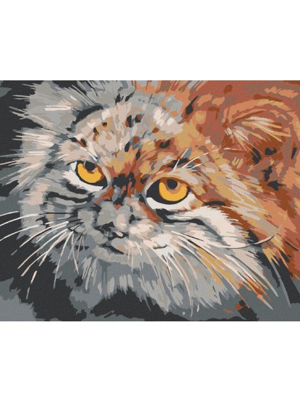 Diamantové maľovanie - ŠEDOHNEDÁ MAČKA (Rámovanie bez rámu a bez vypnutia plátna, Rozmer 40x50 cm)