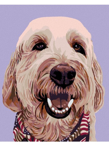 Diamantové maľovanie - PES SO ŠATKOU (Rámovanie bez rámu a bez vypnutia plátna, Rozmer 40x50 cm)