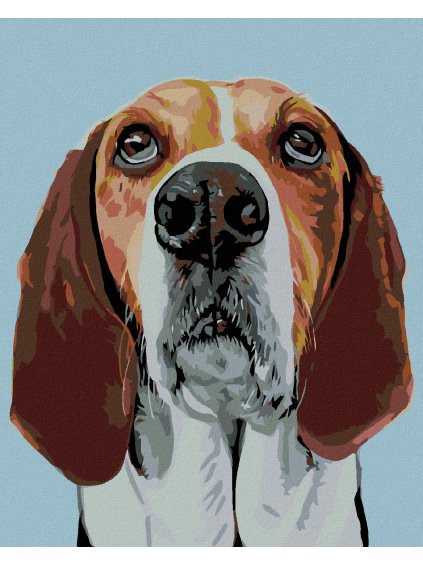 Diamantové maľovanie - BÍGL (Rámovanie bez rámu a bez vypnutia plátna, Rozmer 40x50 cm)