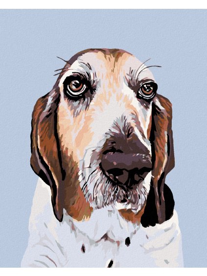 Diamantové maľovanie - BASET (Rámovanie bez rámu a bez vypnutia plátna, Rozmer 40x50 cm)