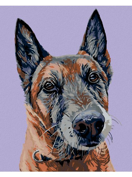 Diamantové maľovanie - STARÝ VLČIAK (Rámovanie bez rámu a bez vypnutia plátna, Rozmer 40x50 cm)