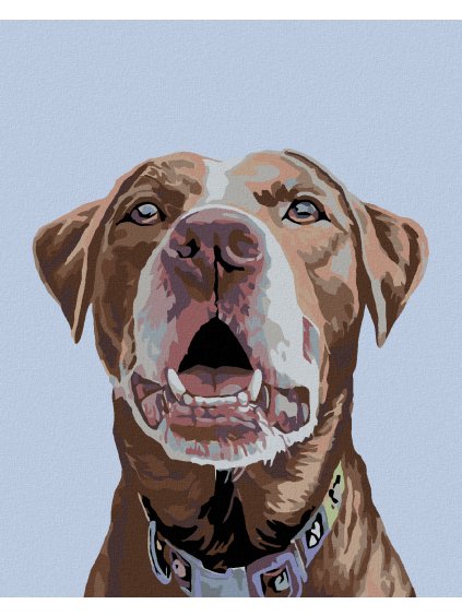 Diamantové maľovanie - HNEDÝ LABRADOR (Rámovanie bez rámu a bez vypnutia plátna, Rozmer 40x50 cm)