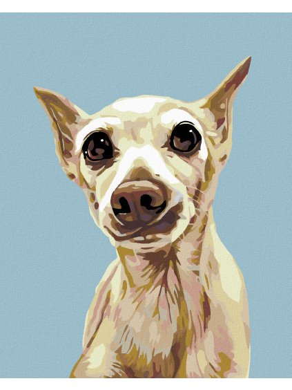 Diamantové maľovanie - VYDESENÝ PSÍK (Rámovanie bez rámu a bez vypnutia plátna, Rozmer 40x50 cm)