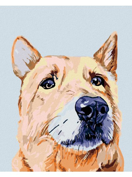 Diamantové maľovanie - SMUTNÝ PSÍK (Rámovanie bez rámu a bez vypnutia plátna, Rozmer 40x50 cm)