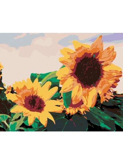 Diamantové maľovanie - SLNEČNICA I. (Rámovanie bez rámu a bez vypnutia plátna, Rozmer 40x50 cm)
