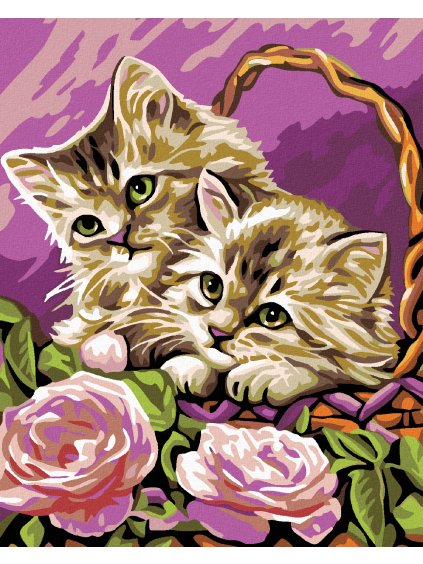 Diamantové maľovanie - MAČIATKA V KOŠÍKU A RUŽOVÉ RUŽE (Rámovanie bez rámu a bez vypnutia plátna, Rozmer 40x50 cm)