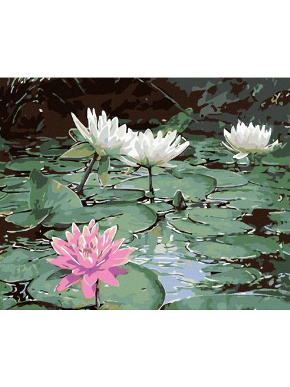 Diamantové maľovanie - RUŽOVÉ LEKNO A TRI BIELE (Rámovanie bez rámu a bez vypnutia plátna, Rozmer 40x50 cm)