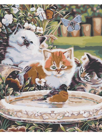 Diamantové maľovanie - MAČIATKA A VTÁČIKY (Rámovanie bez rámu a bez vypnutia plátna, Rozmer 40x50 cm)