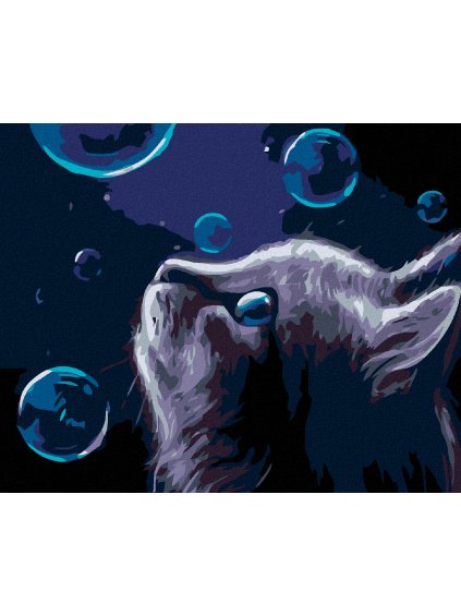 Diamantové maľovanie - MAČKA A BUBLINY V NOCI (Rámovanie bez rámu a bez vypnutia plátna, Rozmer 40x50 cm)