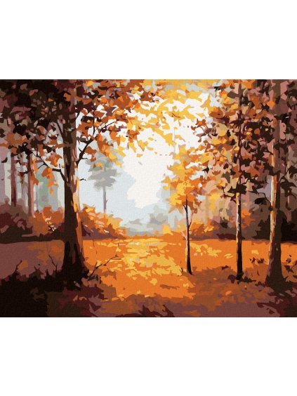 Diamantové maľovanie - JESENNÝ LES (Rámovanie bez rámu a bez vypnutia plátna, Rozmer 40x50 cm)
