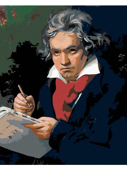 Diamantové maľovanie - LUDWIG VAN BEETHOVEN (Rámovanie bez rámu a bez vypnutia plátna, Rozmer 40x50 cm)