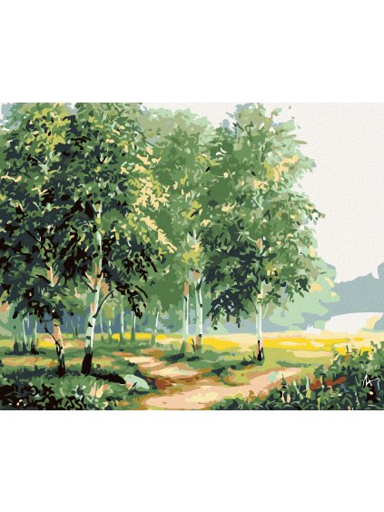 Diamantové maľovanie - BREZY PRI CESTE II (Rámovanie bez rámu a bez vypnutia plátna, Rozmer 40x50 cm)