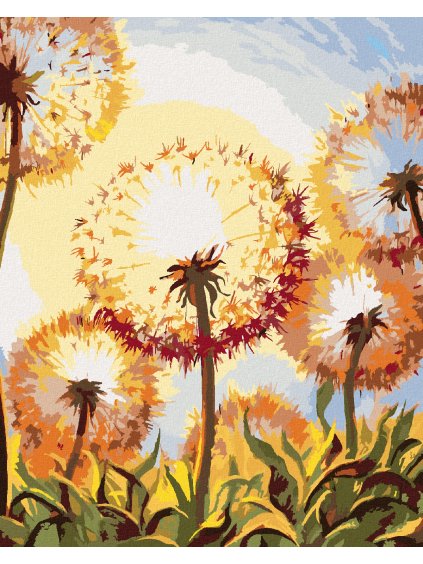 Diamantové maľovanie - PÚPAVA V SLNEČNOM SVITE (Rámovanie bez rámu a bez vypnutia plátna, Rozmer 40x50 cm)