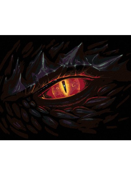 Diamantové maľovanie - OKO DRAKA (Rámovanie bez rámu a bez vypnutia plátna, Rozmer 40x50 cm)