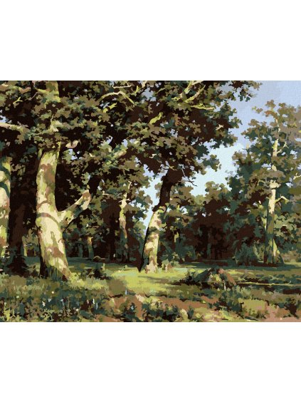 Diamantové maľovanie - DUBOVÝ HÁJ (IVAN SHISHKIN) (Rámovanie bez rámu a bez vypnutia plátna, Rozmer 40x50 cm)