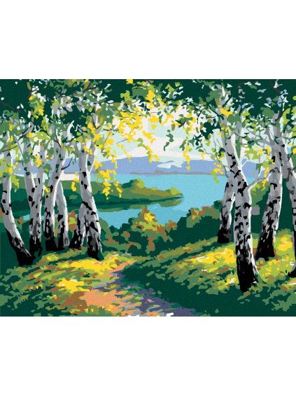 Diamantové maľovanie - JESENNÁ LESNÁ KRAJINA S BREZAMI A RIEKOU (Rámovanie bez rámu a bez vypnutia plátna, Rozmer 40x50 cm)