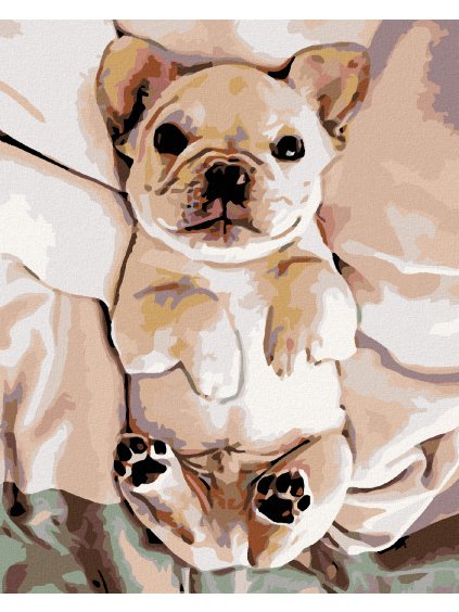 Diamantové maľovanie - MALÉ ŠTENIATKO BULDOČIKA (Rámovanie bez rámu a bez vypnutia plátna, Rozmer 40x50 cm)