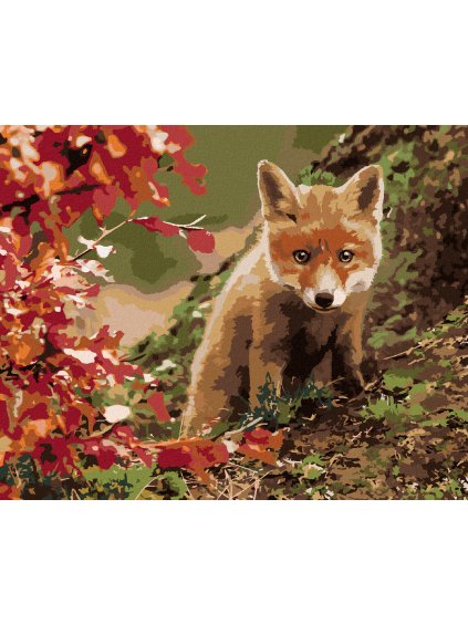 Diamantové maľovanie - MALÁ LÍŠKA (Rámovanie bez rámu a bez vypnutia plátna, Rozmer 40x50 cm)