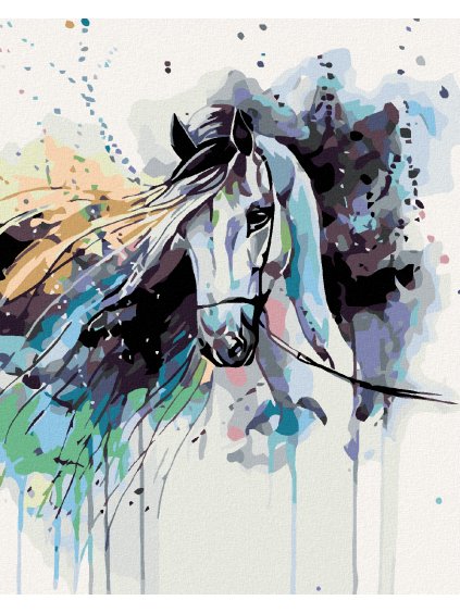 Diamantové maľovanie - ABSTRAKTNÝ KÔŇ (Rámovanie bez rámu a bez vypnutia plátna, Rozmer 40x50 cm)
