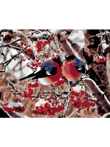 Diamantové maľovanie - VTÁČIKY V JARABINE (Rámovanie bez rámu a bez vypnutia plátna, Rozmer 40x50 cm)