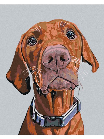 Diamantové maľovanie - RIDGEBACK S MODRÝM OBOJKOM (Rámovanie bez rámu a bez vypnutia plátna, Rozmer 40x50 cm)