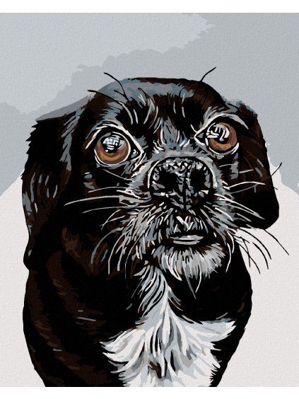 Diamantové maľovanie - ČIERNOBIELY ORIEŠOK (Rámovanie bez rámu a bez vypnutia plátna, Rozmer 40x50 cm)