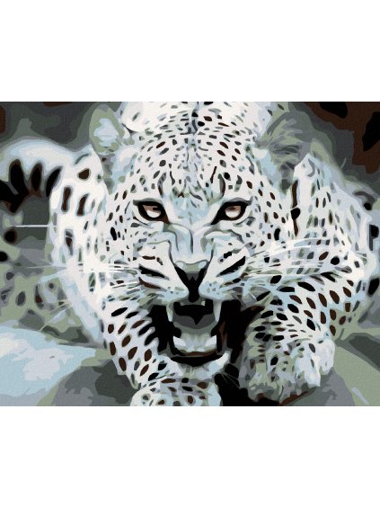 Diamantové maľovanie - ČIERNOBIELY LEOPARD (Rámovanie bez rámu a bez vypnutia plátna, Rozmer 40x50 cm)