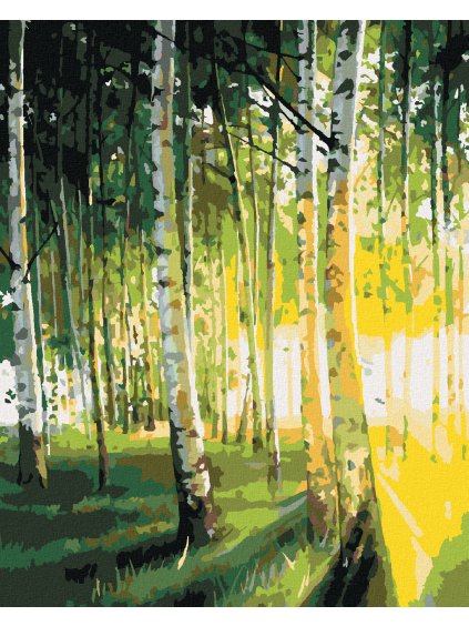 Diamantové maľovanie - BREZY V PROSVETLENOM LESE (Rámovanie bez rámu a bez vypnutia plátna, Rozmer 40x50 cm)