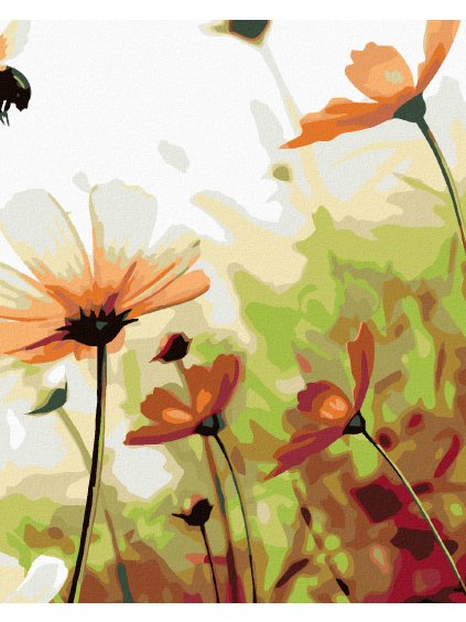 Diamantové maľovanie - KVETINOVÁ LÚKA (Rámovanie bez rámu a bez vypnutia plátna, Rozmer 40x50 cm)