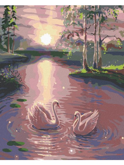 Diamantové maľovanie - LABUTE NA VODE (Rámovanie bez rámu a bez vypnutia plátna, Rozmer 40x50 cm)