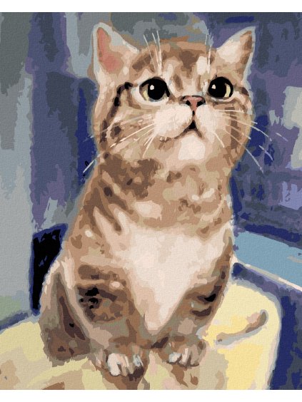 Diamantové maľovanie - ZVEDAVÁ MAČKA (Rámovanie bez rámu a bez vypnutia plátna, Rozmer 40x50 cm)