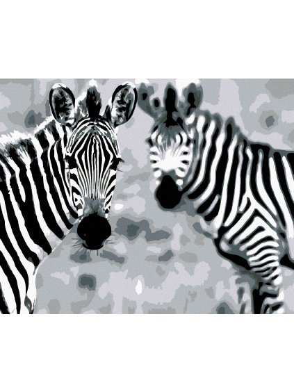 Diamantové maľovanie - PRUHOVANÉ ZEBRY (Rámovanie bez rámu a bez vypnutia plátna, Rozmer 40x50 cm)