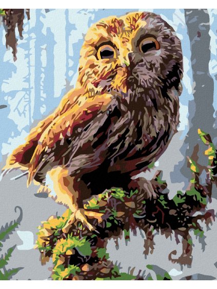 Diamantové maľovanie - SOVIČKA (Rámovanie bez rámu a bez vypnutia plátna, Rozmer 40x50 cm)
