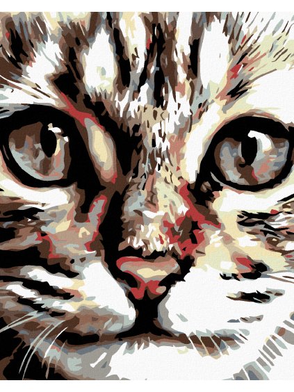 Diamantové maľovanie - PRUHOVANÉ MAČIATKO (Rámovanie bez rámu a bez vypnutia plátna, Rozmer 40x50 cm)