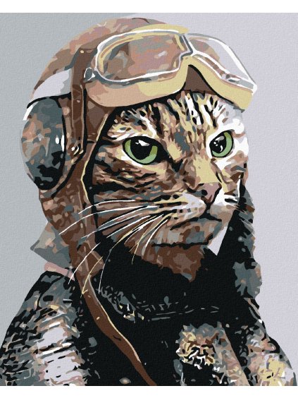 Diamantové maľovanie - LETEC (Rámovanie bez rámu a bez vypnutia plátna, Rozmer 40x50 cm)