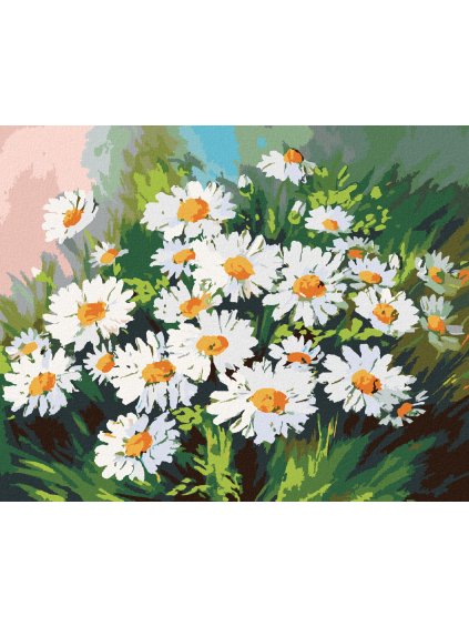 Diamantové maľovanie - MARGARÉTKY V TRÁVE (Rámovanie bez rámu a bez vypnutia plátna, Rozmer 40x50 cm)