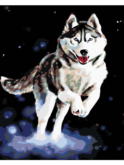 Diamantové maľovanie - HUSKY (Rámovanie bez rámu a bez vypnutia plátna, Rozmer 40x50 cm)