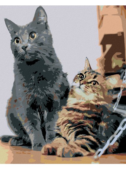 Diamantové maľovanie - ČAKAJÚCE MAČKY (Rámovanie bez rámu a bez vypnutia plátna, Rozmer 40x50 cm)