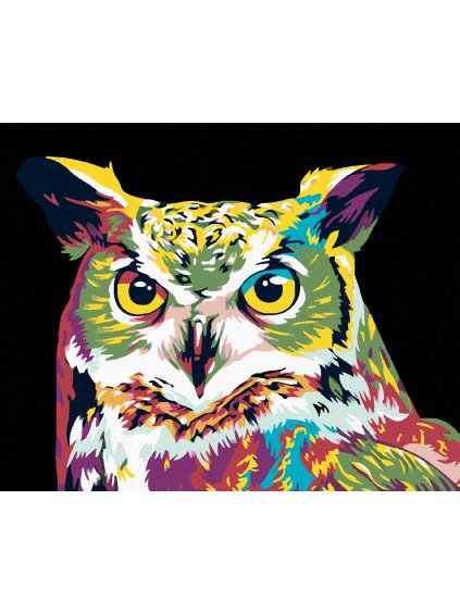 Diamantové maľovanie - FAREBNÁ SOVA (Rámovanie bez rámu a bez vypnutia plátna, Rozmer 40x50 cm)