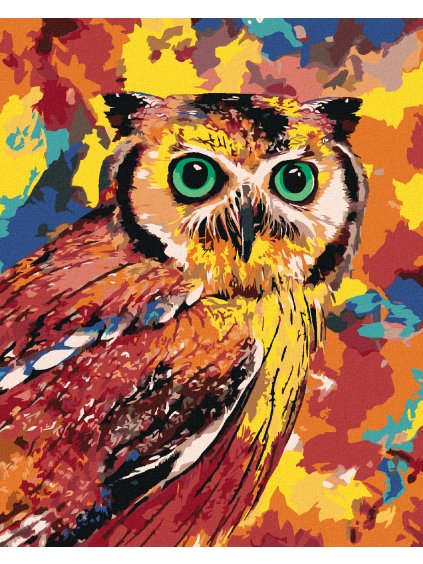 Diamantové maľovanie - FAREBNÁ SOVA (Rámovanie bez rámu a bez vypnutia plátna, Rozmer 40x50 cm)